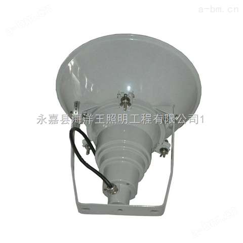 海洋王防震型投光灯NTC9210A 浙江温州生产商：供应NTC9210A-J400