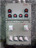 BXMD防爆防水配电箱，防水防爆配电箱