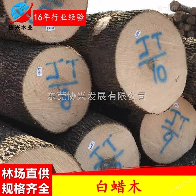 广东白蜡木厂家美国进口白蜡木原木白蜡木板材
