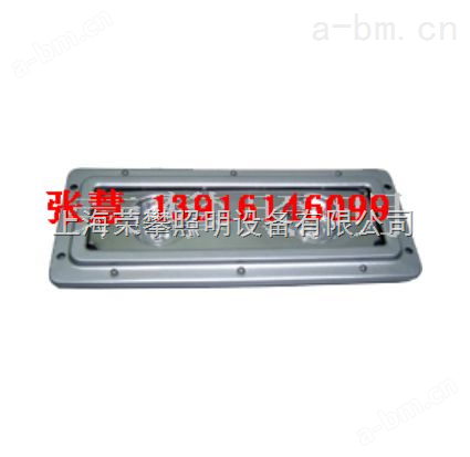 NFC9170S固态免维护顶灯，NFC9170S上海厂家